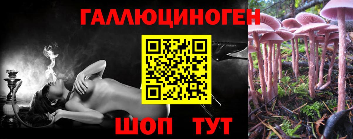 Светлоград  где купить наркоту  Вход с VPN  Галлюциногенные грибы ЛСД  Галлюциногенные грибы мицелий 